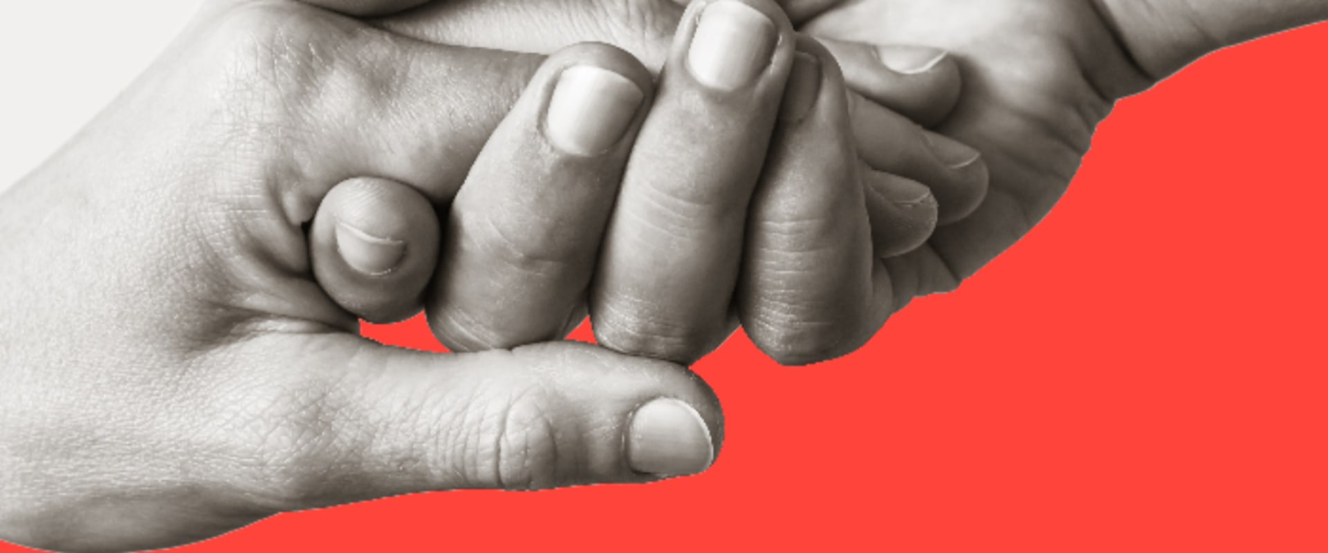 Reducing Anoka County Businesses' Tax Burden with Incentives and Credits